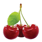 Augļu koku piedāvājums